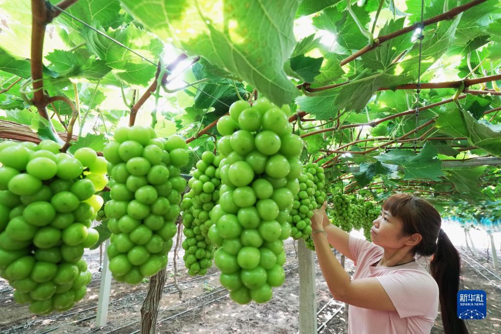 2018最新网上投注平台老虎机